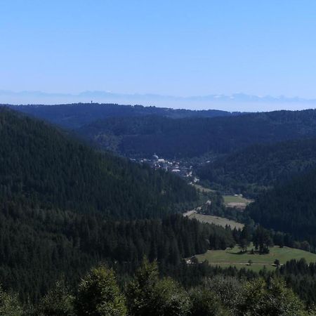 Haus Aretz Apartment Feldberg  Bagian luar foto